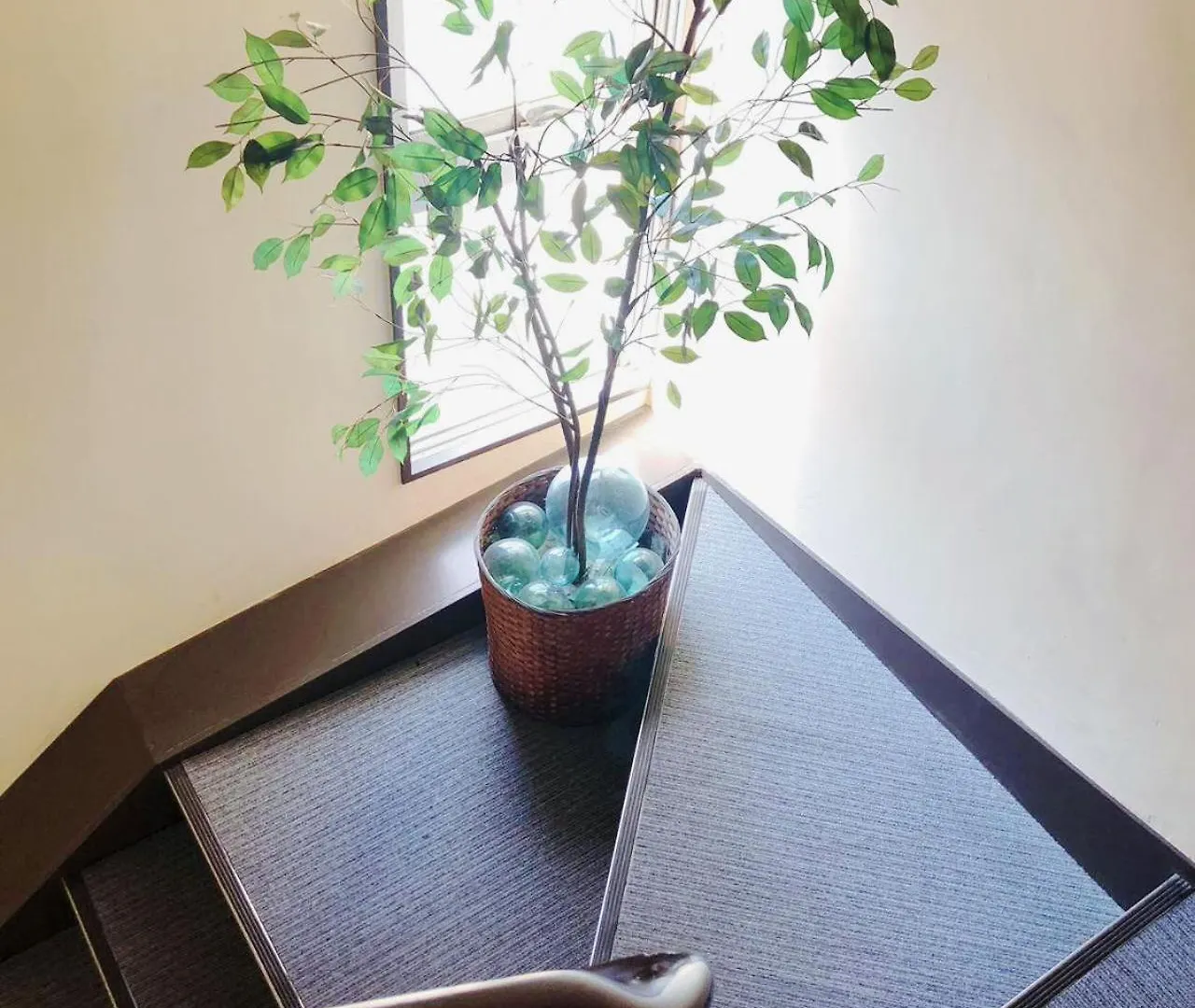 Penzion Otaru Garden Stay Japonsko